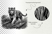 Jungle Tiger SVG Graphics, an Animal Illustration by DENIDigitalArtSudio (Thumbnail 8 of 8)