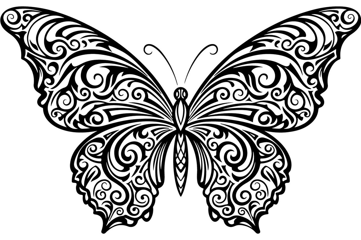 Butterfly Silhouette Bundle, a Decorative Illustration by Designer_Momina (Photo 11 of 20)