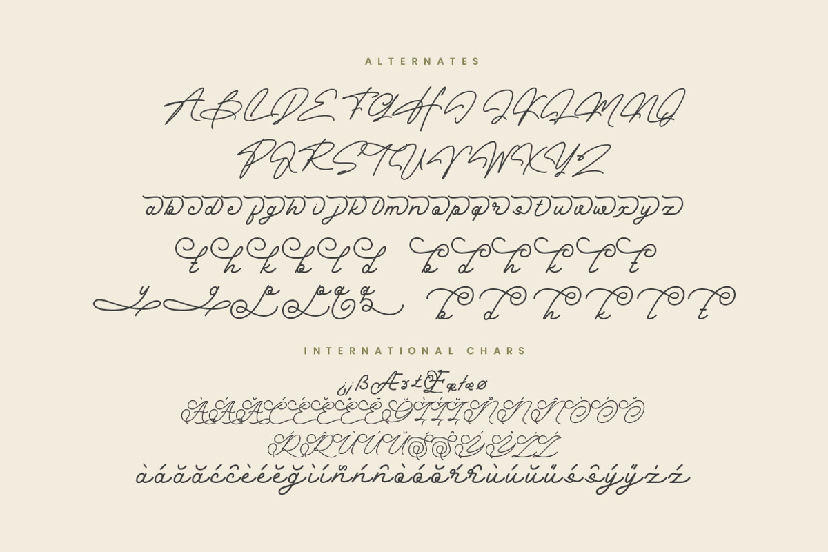 Anabella Monoline Script, a Script Font by Creatype Studio (Photo 8 of 9)