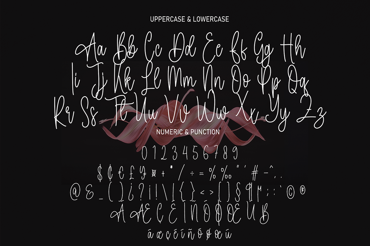 Autography | Script Font, a Script Font by Scratchones (Photo 3 of 8)