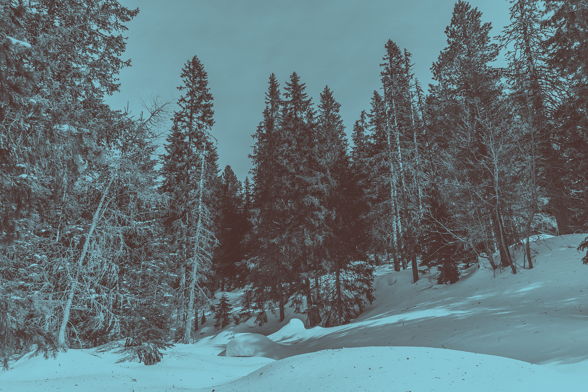 50 Duotone Gradient Maps, a Gradient Add-On by M. by mprintly (Photo 8 of 8)