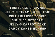 Rattlesnake - Vintage Serif Font, a Serif Font by Creative Type (Thumbnail 11 of 13)