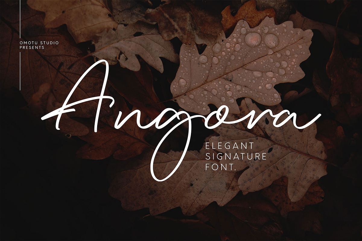 Angora, a Script Font by Omotu Studio (Photo 1 of 12)