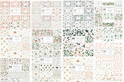 11500! ALL GRAPHICS BUNDLE, an Animal Illustration by Spasibenko Art (Thumbnail 21 of 31)