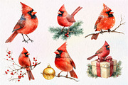 Red Cardinals Christmas Sublimation, an Illustration by Dream Creation (Thumbnail 4 of 7)
