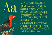 Refika Mughy Thin  Serif Display, a Serif Font by timelesstype.co (Thumbnail 14 of 15)