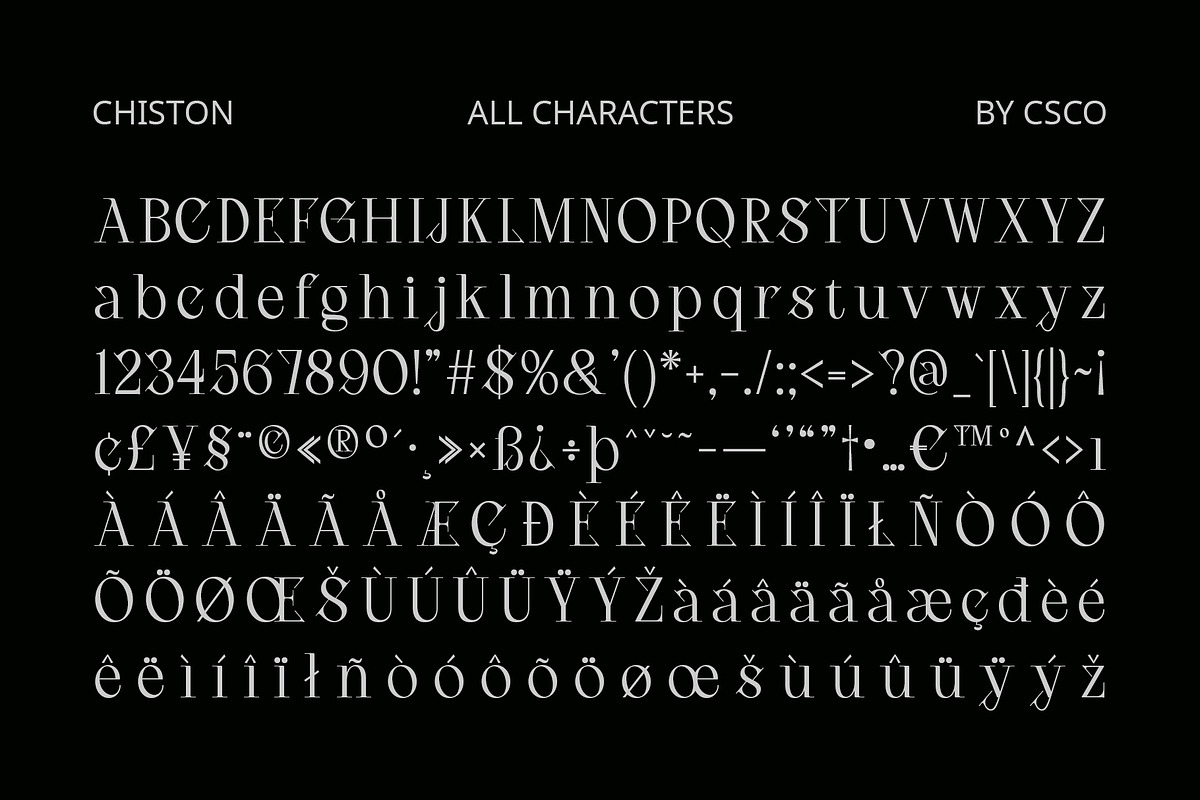 Chiston – Serif Typeface, a Serif Font by Craft Supply Co. (Photo 8 of 8)