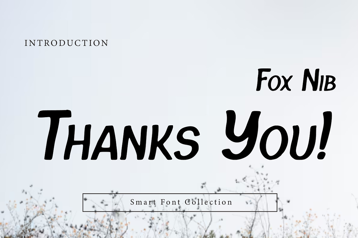Fox Nib, a Serif Font by Wow Magic (Photo 3 of 3)