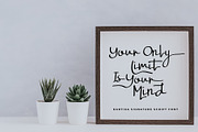 Kartika a Signature Script Font, a Script Font by Dawnside Graphic (Thumbnail 3 of 16)
