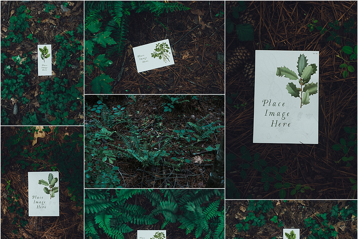 Foliage Frames Vol. 1 - Mockups, a Print Template by Wild Joy Studios (Photo 3 of 6)