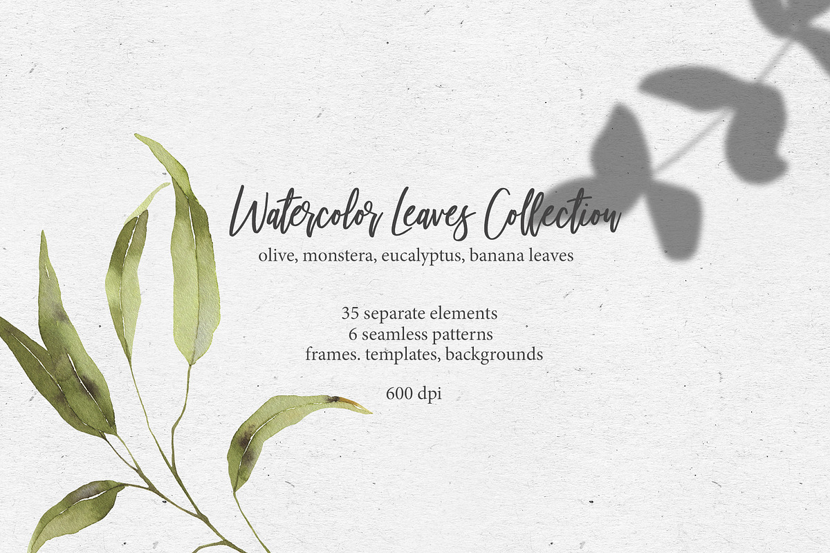 Watercolor leaves collection, a Decorative Illustration by Maria's little shop (Photo 1 of 9)