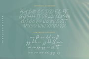 Baldive - a Signature Monoline Font, a Script Font by Balpirick Studio (Thumbnail 7 of 8)