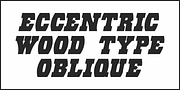 Eccentric Wood Type JNL, a Slab Serif Font by Jeff Levine Fonts (Thumbnail 4 of 5)