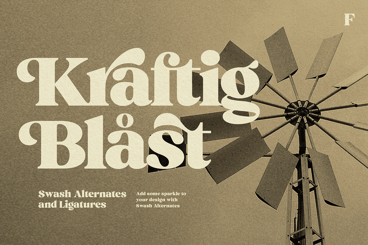 Ashford Stylish Serif, a Serif Font by Fenotype (Photo 4 of 11)