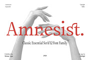 Amnesist | 12 Fonts, a Serif Font by Skinny Type (Thumbnail 1 of 12)