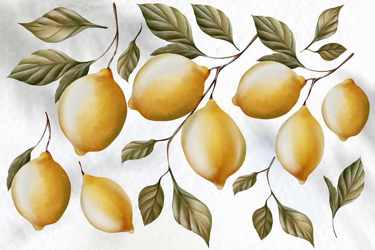 Watercolor Olives & Lemons, an Object Graphic by Knopazyzy (Photo 5 of 6)