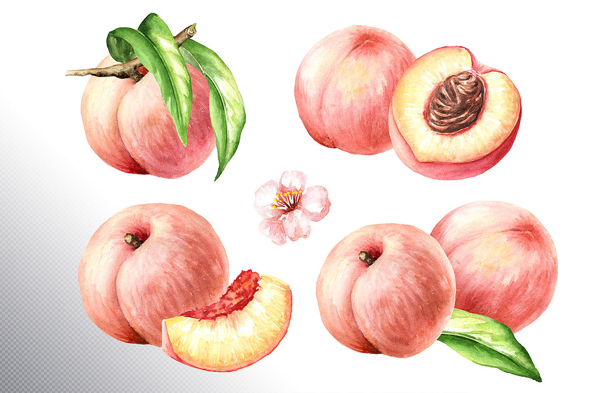 Ripe Peaches. Watercolor set, a Food Illustration by Daria Ustiugova (Photo 3 of 23)