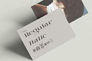 CELARIN Display Font, a Serif Font by Hishand Studio (Thumbnail 5 of 10)