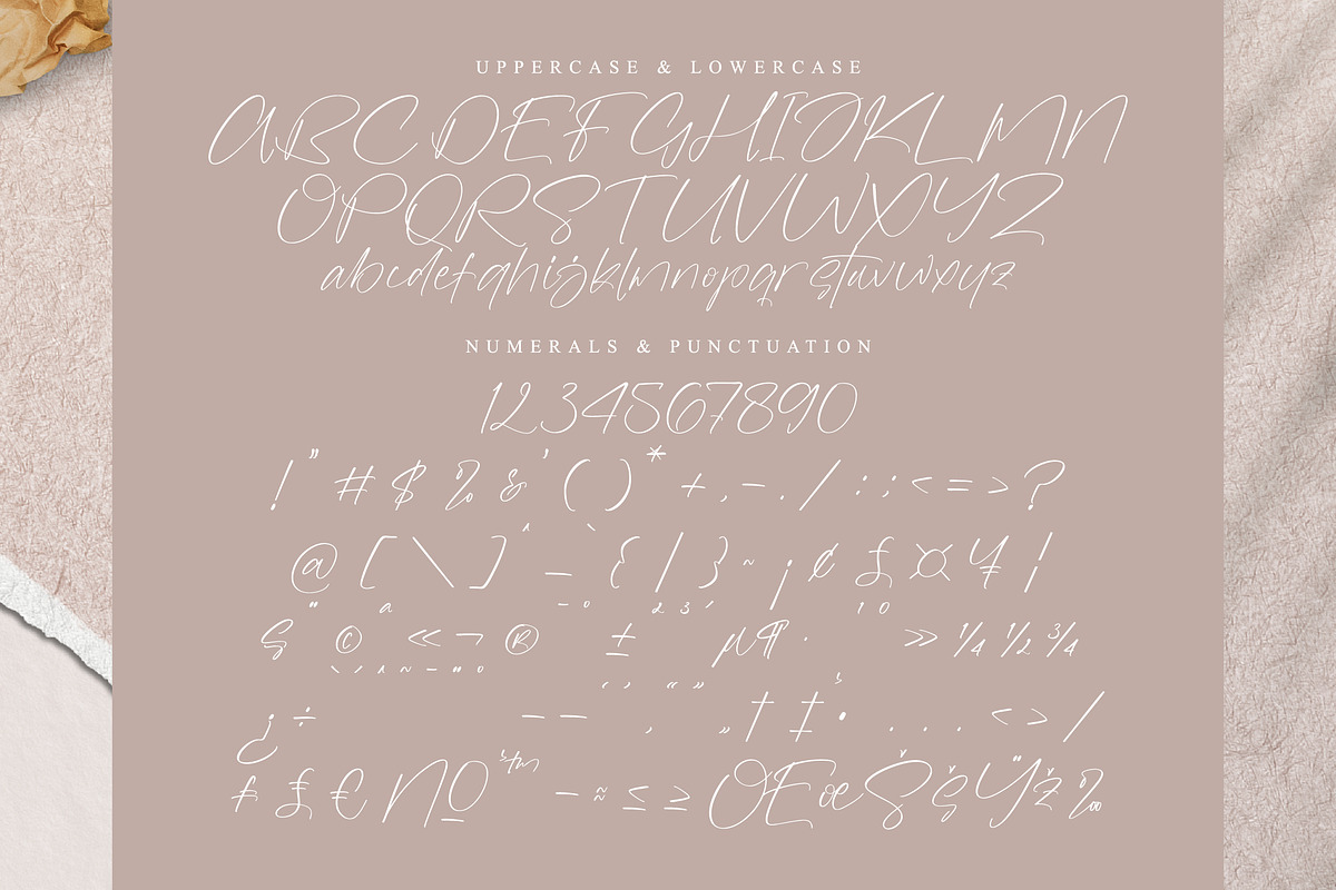 Rusttesa Freshlis, a Handwritten Font by operatype.co (Photo 12 of 15)