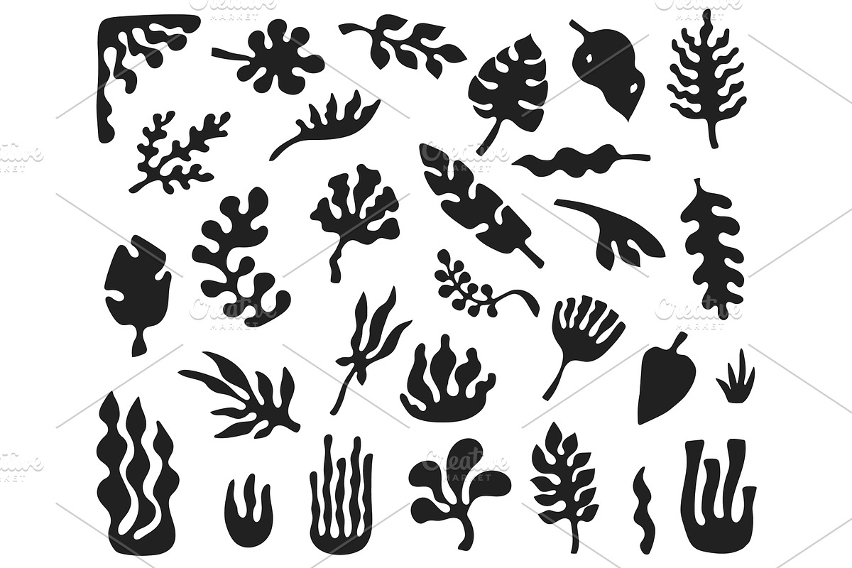 Foliage tropical plants with leaf, an Illustration by winwin.art