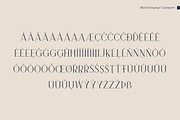 Brooke Minimalist Serif Font, a Serif Font by Heinzel Std (Thumbnail 12 of 13)