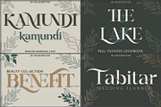 SALE! Mega Bundle 15+ Branding Fonts, a Serif Font by MchCrafter (Thumbnail 10 of 18)