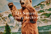 Antiquated Font Pack (Serif & Sans!), a Serif Font by Tom Chalky (Thumbnail 6 of 11)