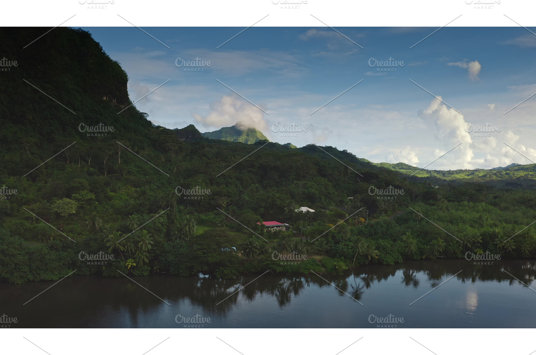 Lush jungle landscape with mountain, a Nature Photo by Goinyk