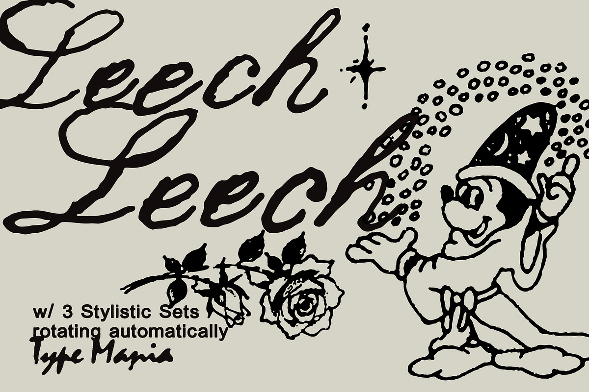 Leech TM – Romantic Script, a Script Font by Type Mania (Photo 1 of 10)