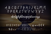 Cosmodrome Monoline Script Font, a Script Font by Design Panoply (Thumbnail 2 of 9)