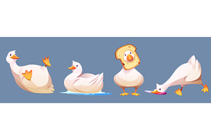 Funny duck characters set isolated, an Animal Illustration by art PVP - market