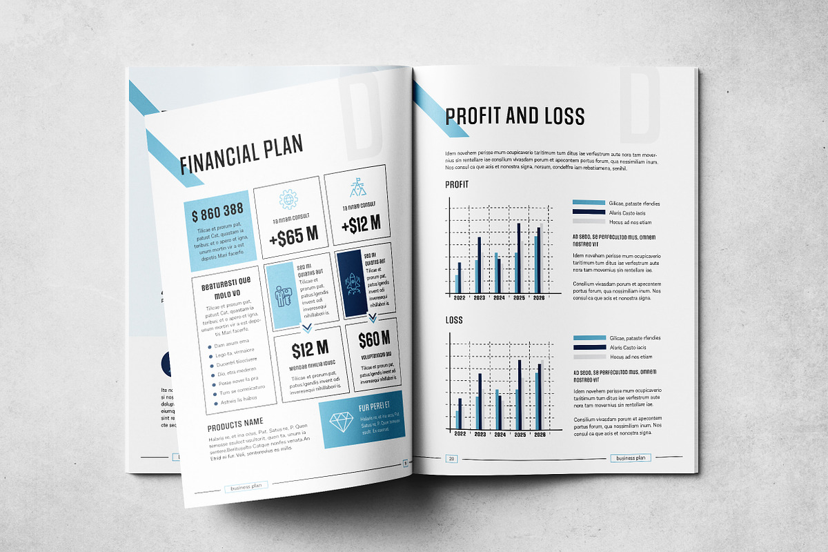 Business Plan Layout Temlpate