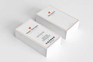 30 Minimal Business Cards Bundle