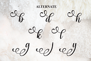 Bulky | Script Font, a Handwritten Font by Scratchones (Thumbnail 8 of 9)