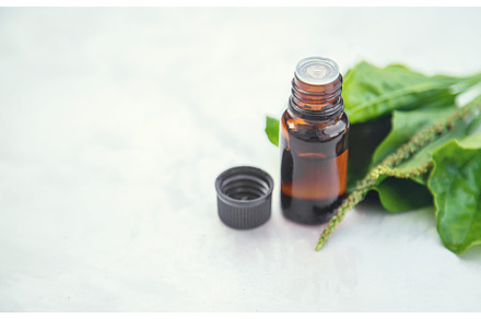 Plantain extract in a small bottle, a Nature Photo by yanadjana