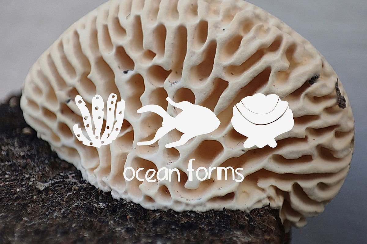 200+ OCEAN CLIPARTS - HAND DRAWN, a Seasonal Illustration by JuDesign (Photo 11 of 23)