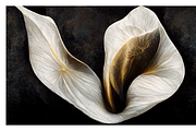 Lily Collection · Calla Lily Flowers, a Decorative Illustration by milatovar (Thumbnail 5 of 16)