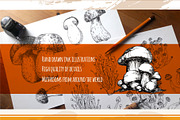 Mushrooms. Big set. 84 objects, a Decorative Illustration by Alena Kaz (Thumbnail 2 of 8)