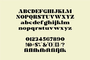 Trellis//Typeface Bold Serif, a Serif Font by Kleffont Studio (Thumbnail 9 of 10)