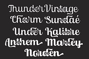 Skinno — A Variable Script Typeface, a Script Font by Skinny Type (Thumbnail 7 of 10)