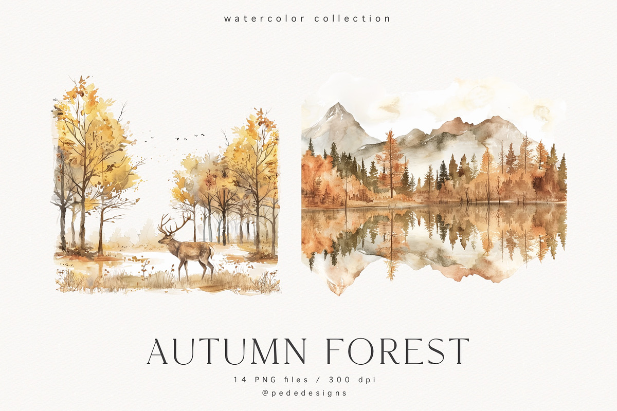Autumn Forest, a Seasonal Illustration by PeDe Designs (Photo 7 of 7)