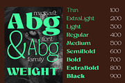 Mighast | 45 Fonts, a Serif Font by MasaType (Thumbnail 2 of 13)