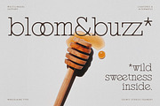 Marjolaine Type - A delicate Serif, a Serif Font by CarmineType (Thumbnail 18 of 24)