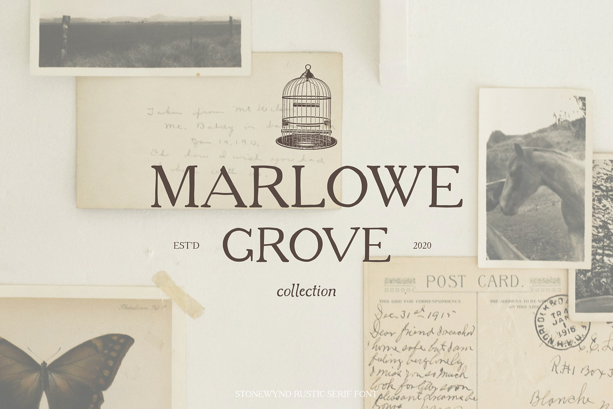 Stonewynd Rustic Serif Font, a Font by Eclectic Anthology (Photo 3 of 8)