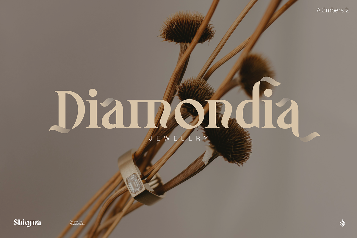 Shioma, a Serif Font by Aluyeah Studio (Photo 10 of 15)