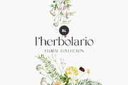l'Herbolario - Wild Floral Graphics, an Illustration by studioequinox (Thumbnail 1 of 14)