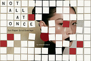 Not All at Once: Paper Grid Overlays, a Texture Graphic by alonahaidash (Thumbnail 16 of 16)