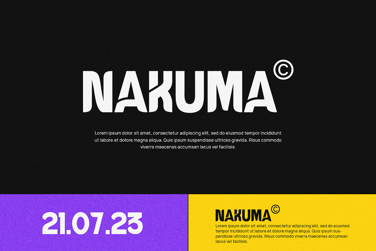 Mosean Modern Sans Serif, a Sans Serif Font by Perfectype (Photo 6 of 10)