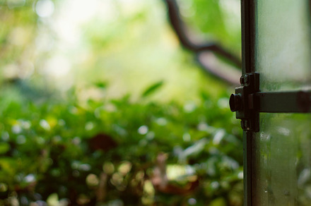 Beyond the window glass containing window, glass, and condensation