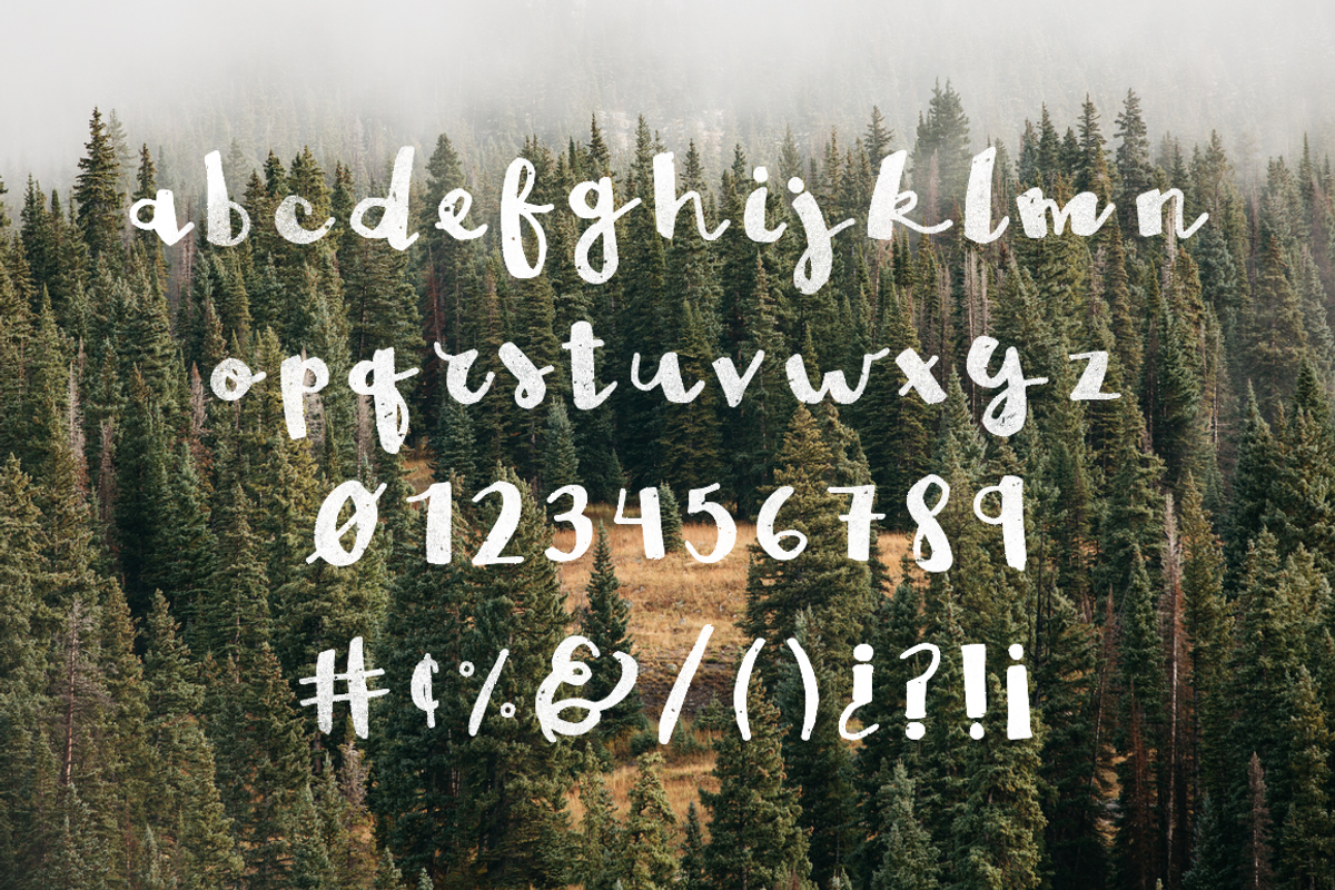Brown Fox New Typecafe preview 3